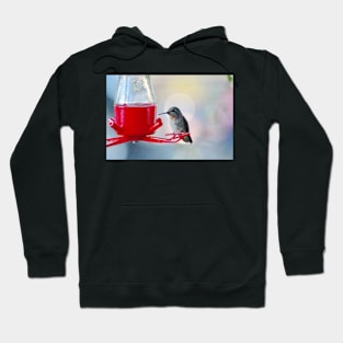 Hummingbird Halo Hoodie